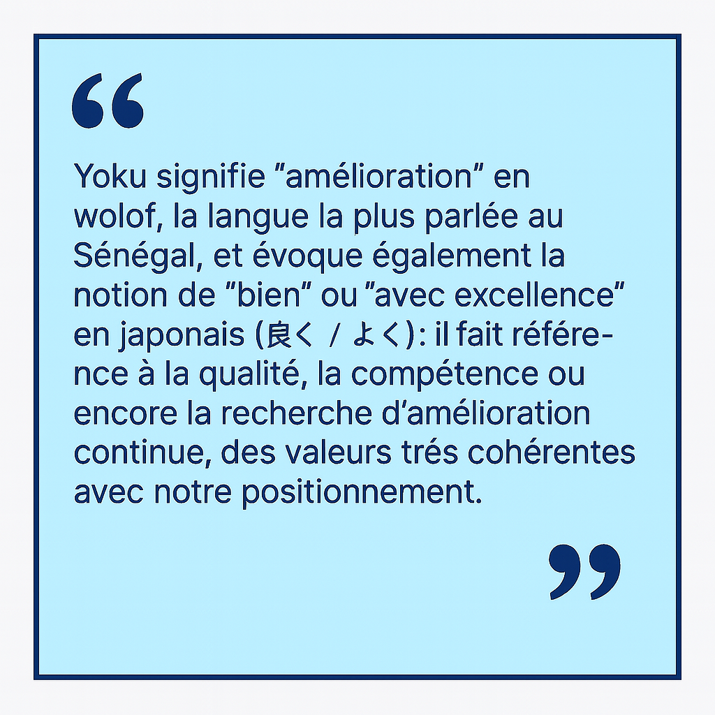 YOKU Consulting